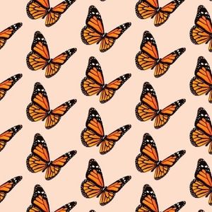 Meet your Posher, Ariana